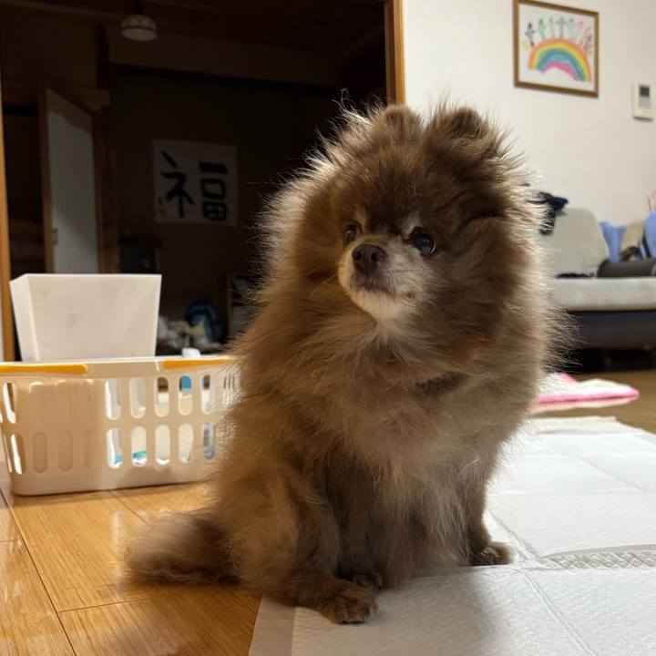 Ade88f04 772e 4271 8f1c 54620d7960d0 1769806339214