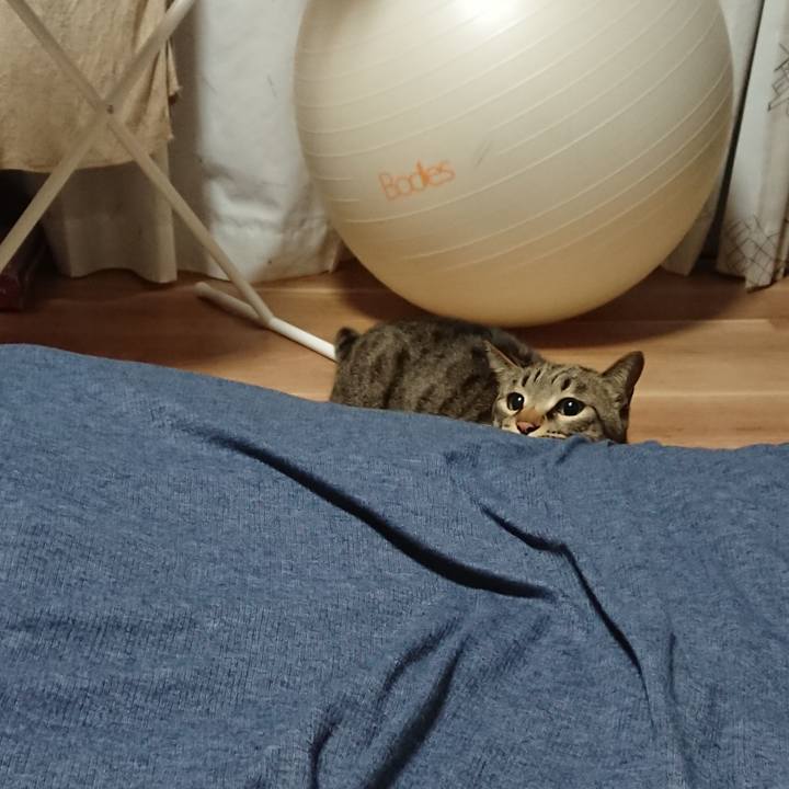 Ade89bcf 539f 4861 ba90 4dcf5eebfda9 1549468155583