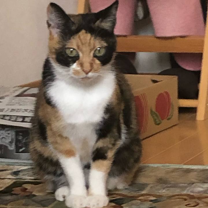 Ade89d75 61d8 4272 8e95 9297fc8a09dc 1568988039730