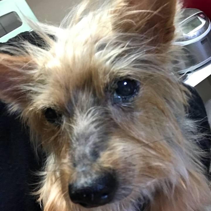 Ade8b695 b49e 469a b587 3b090e36c1ac 1511610349767