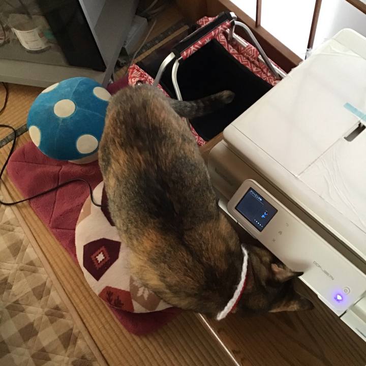 Ade8f271 4854 453e 97d3 566729f654bb 1609203678158