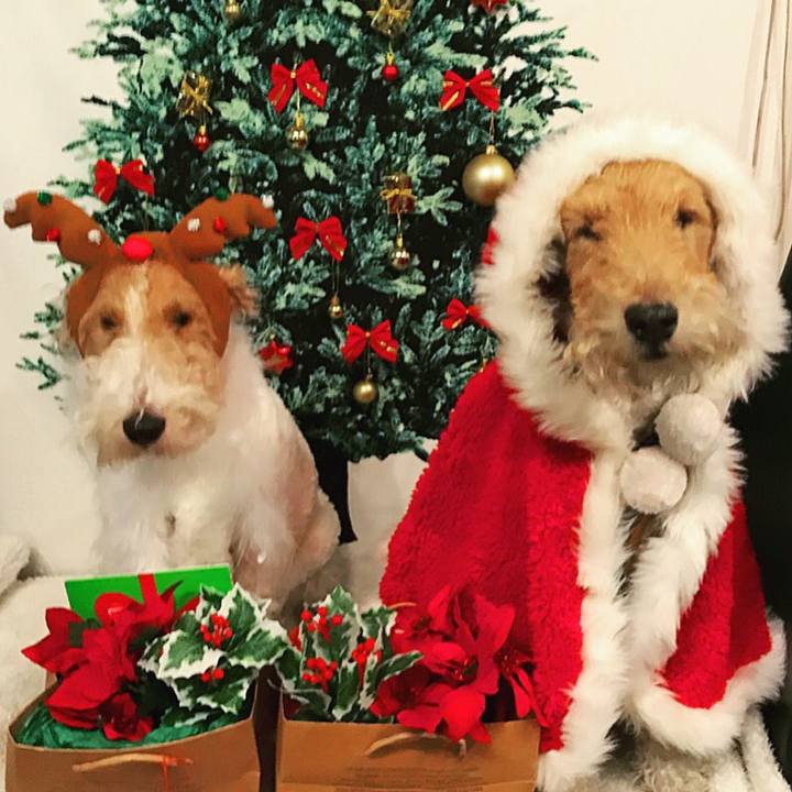 Ade944b4 f187 410f 91c4 b3165ddbdafc 1512743037802