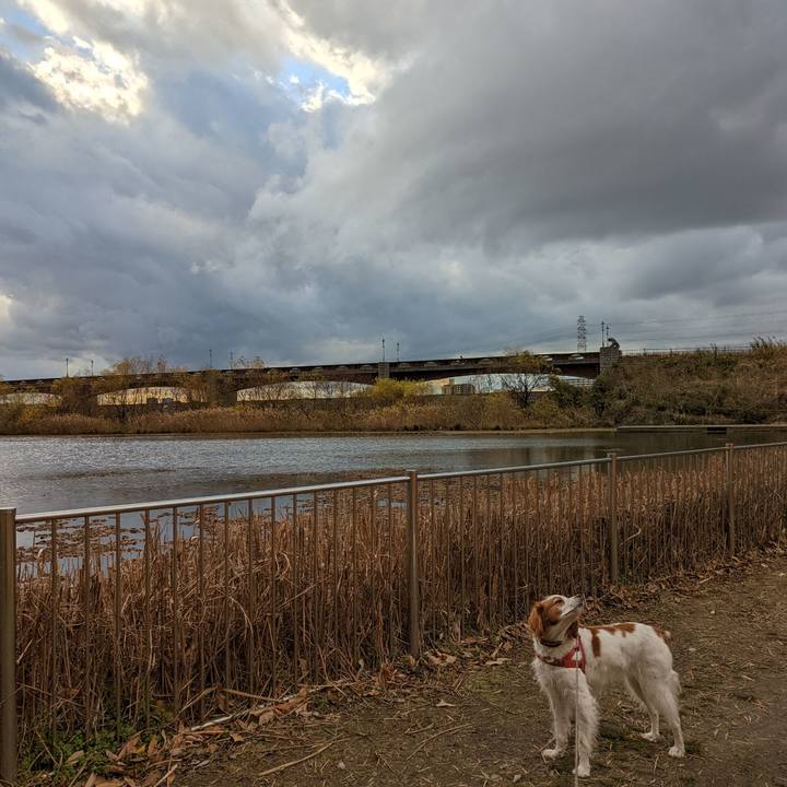 Ade965d3 b490 4fdc 8115 dc83f6c447ba 1640416951605