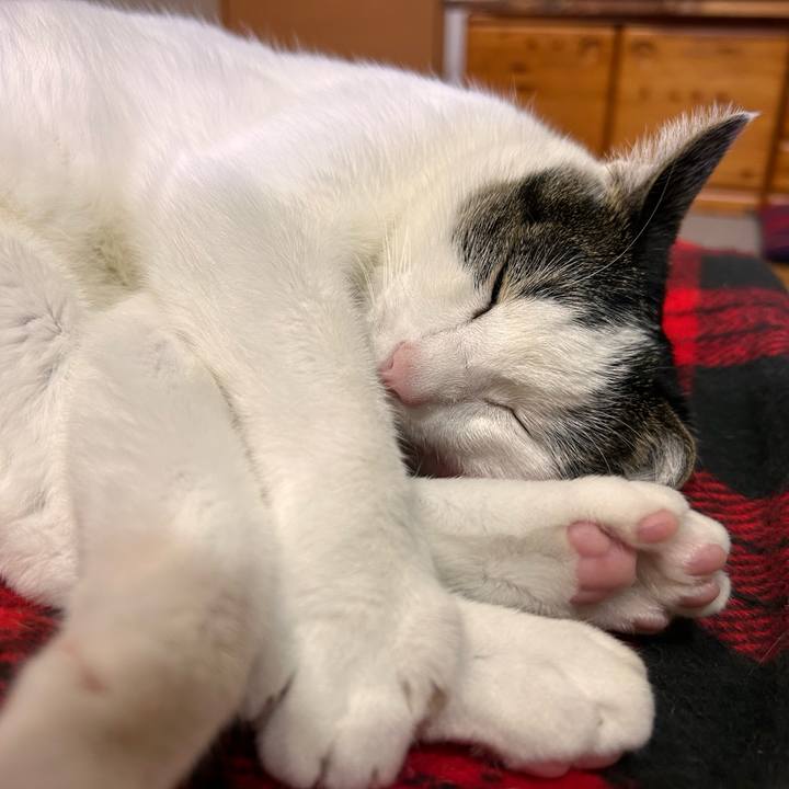 Ade97f34 f8f4 4517 b3c7 caf5eb96f103 1731508186863