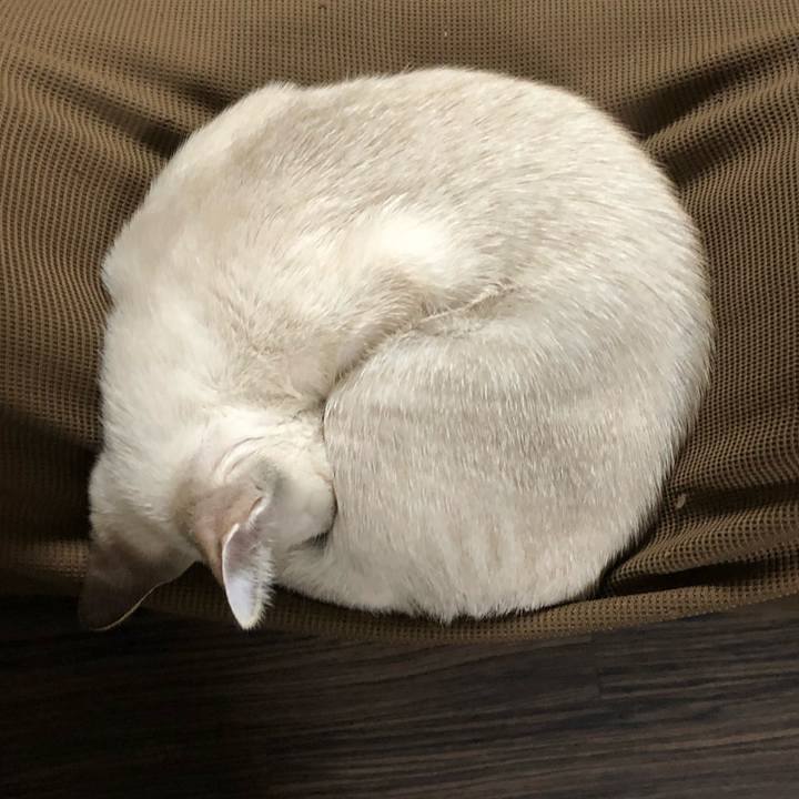 Ade9828a 87b8 49fb a825 a724f9fde9be 1602253728836