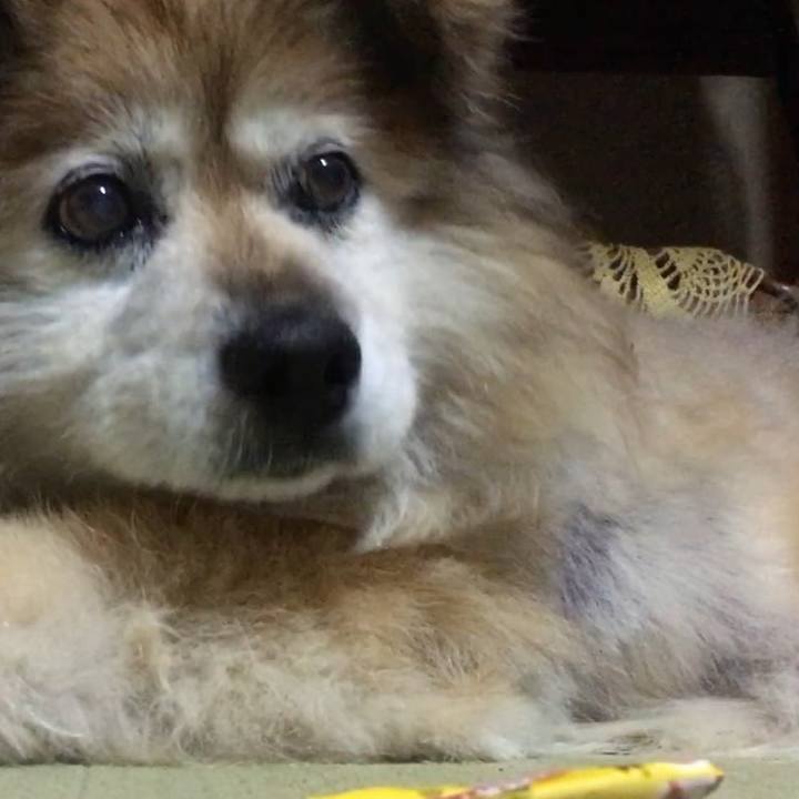 Ade9a896 b2eb 42d5 8867 379bc1899084 1634978695391