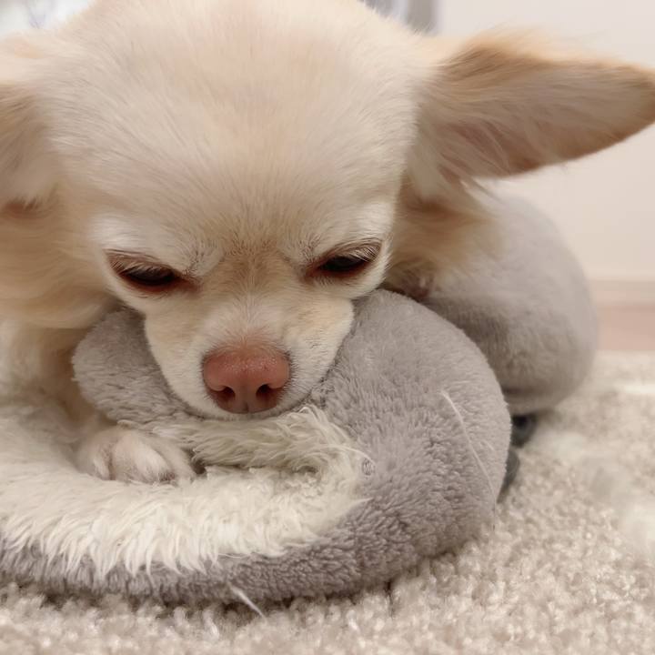 Ade9cb40 14a7 4350 8f1a fb526e964077 1705835458751