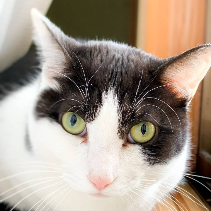 Ade9f9b5 f7ba 461b a3c3 6953cf86be97 1587428945154