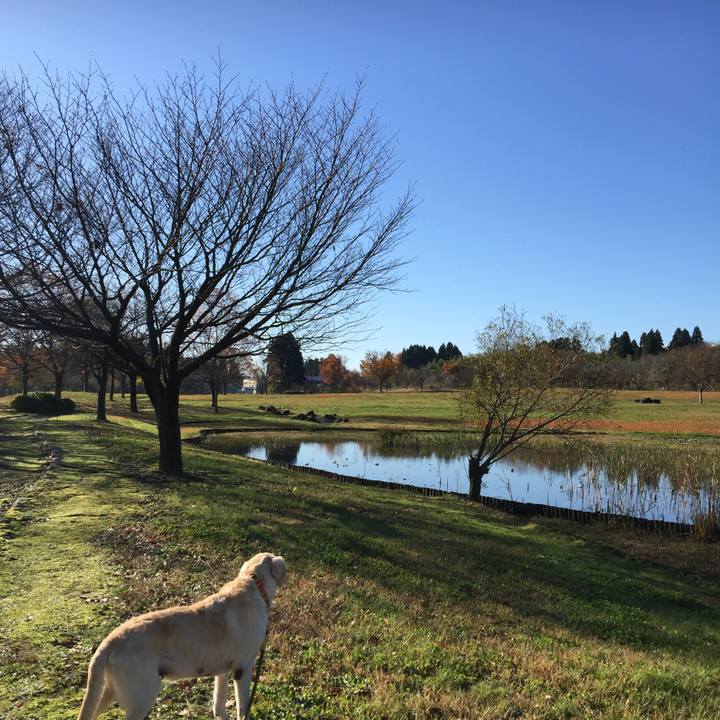 Adea021a 6c89 4897 b6d0 5a8b072b1bac 1571826122978