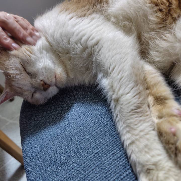 Adea0625 9944 457e b991 3d1a027b49af 1724675597417