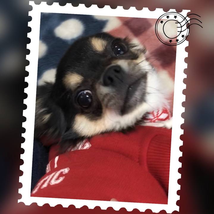 Adea19e2 bffc 4fe9 946a 317b7a200d25 1546237438186