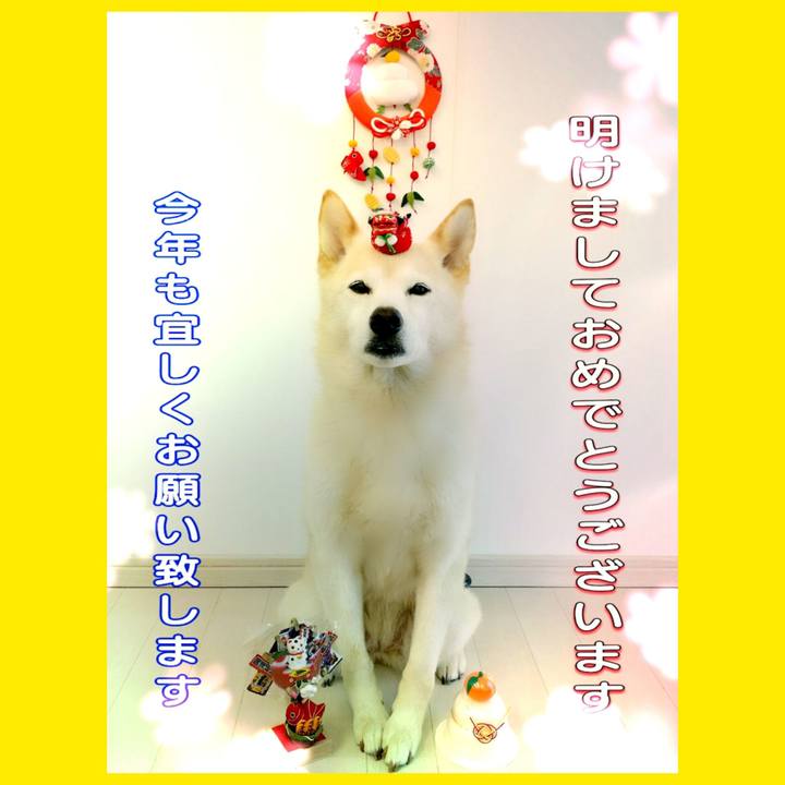 Adea6252 488a 43a8 950e 65f18924409b 1672566082950