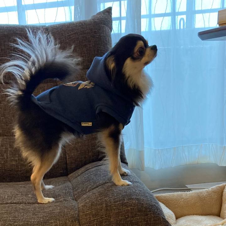 Adeac4b2 1b11 4f71 b8f2 cdb72801e565 1708190450075