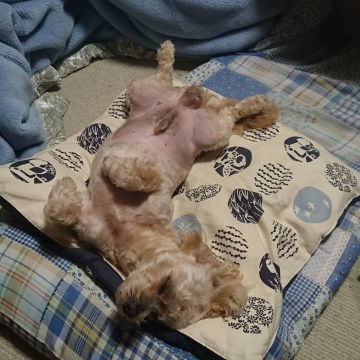 Adeaf926 b0f7 4de5 bd74 740e772b7fa1 1589116144010