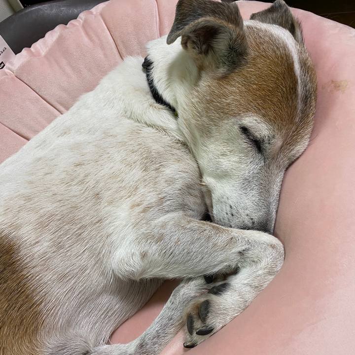 Adeb0aee 9a23 4432 a7a3 e363823a1a91 1602768674587