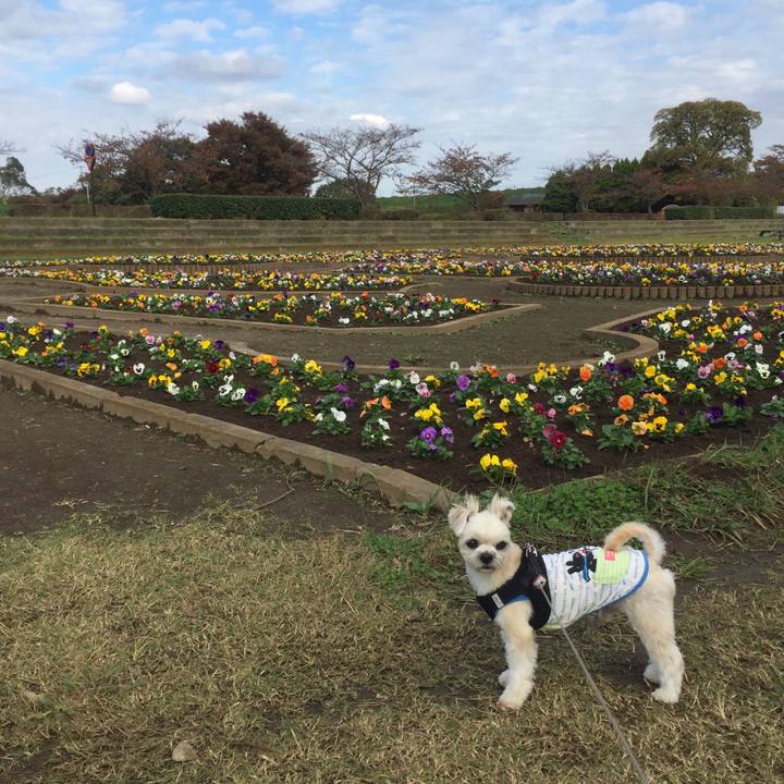 Adeb0c86 634b 4d37 aea7 674d0f5863f2 1541582911213