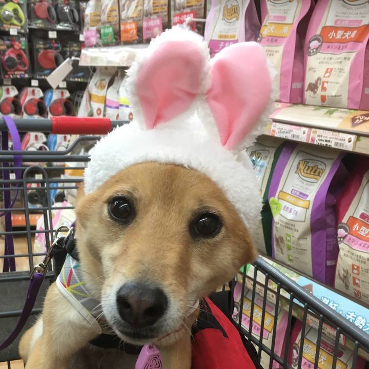 Adeb598b c30f 428c b1d3 d11e16681403 1556458807539