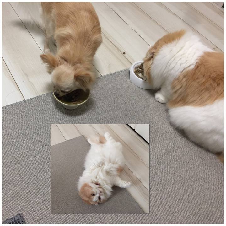 Adeb5baf 85c8 4658 8e9d 03fc1fa785aa 1572613942754