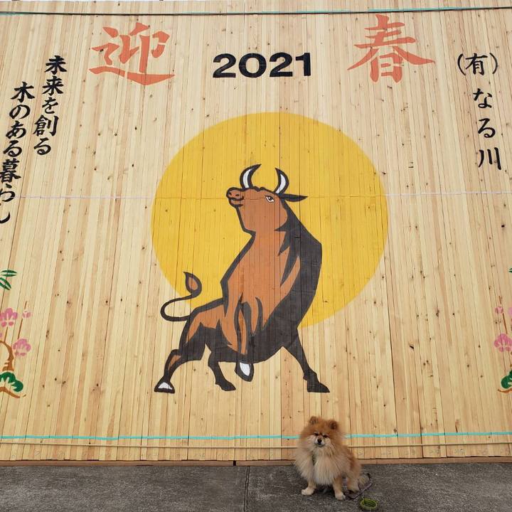 Adeb9025 a22b 4f91 851a 43884ae197de 1612143980058