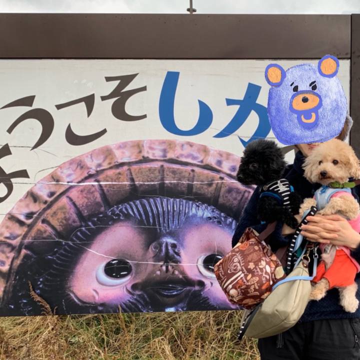 Adebbf63 f435 40c1 83a7 9aea89e0584b 1577768294203