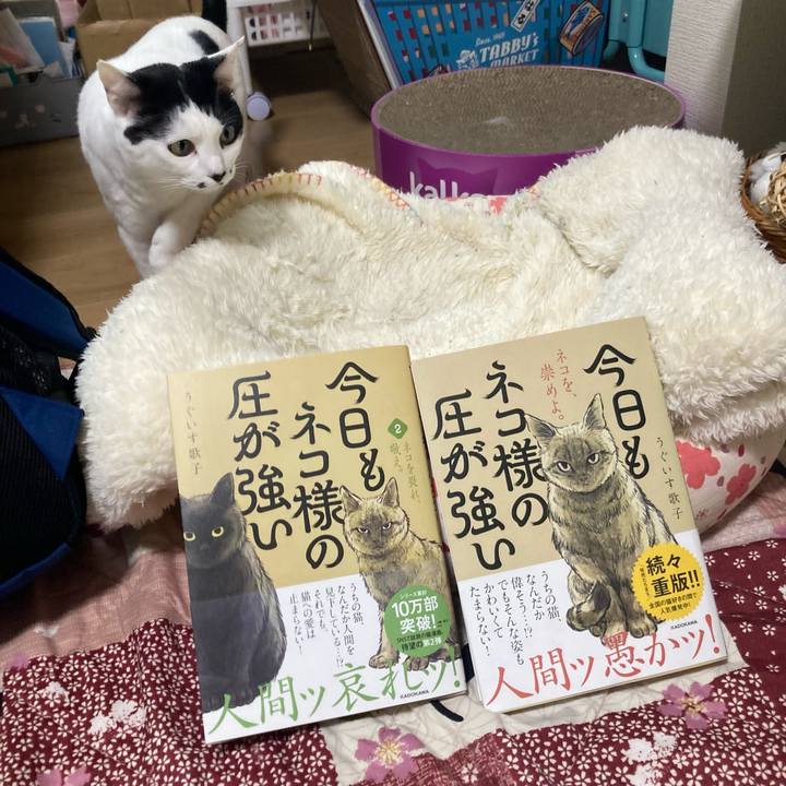 Adebfec4 3e23 42b7 a510 9037a0cfee0a 1771749046338