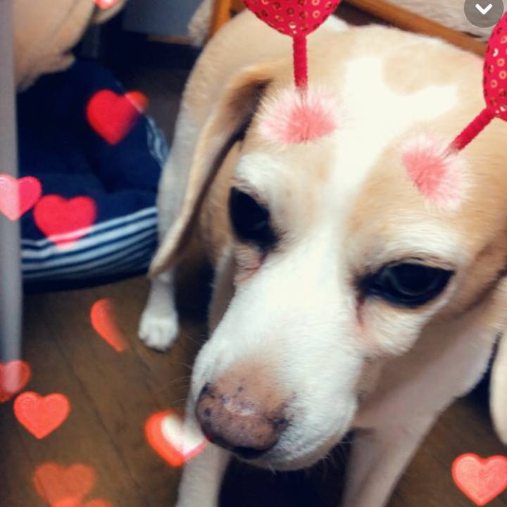 Adec057f e883 4ca8 9391 2e1fbdab5c08 1558962478412