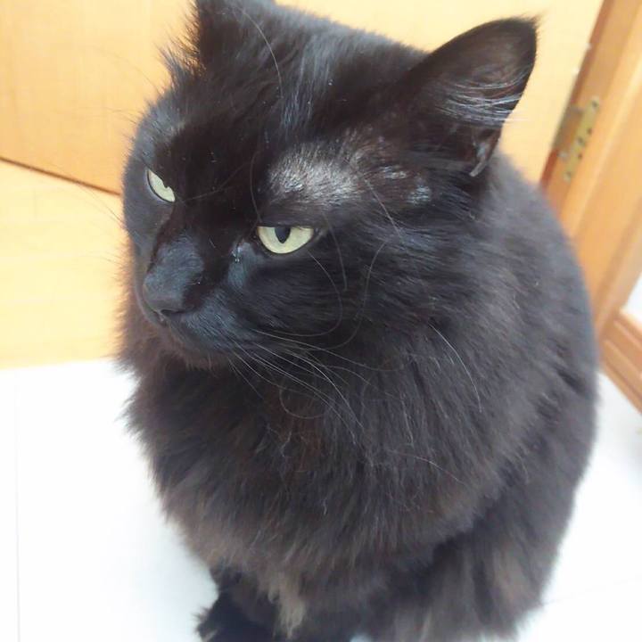 Adec1c76 db29 44b7 9b27 11756e3f36eb 1553305070232