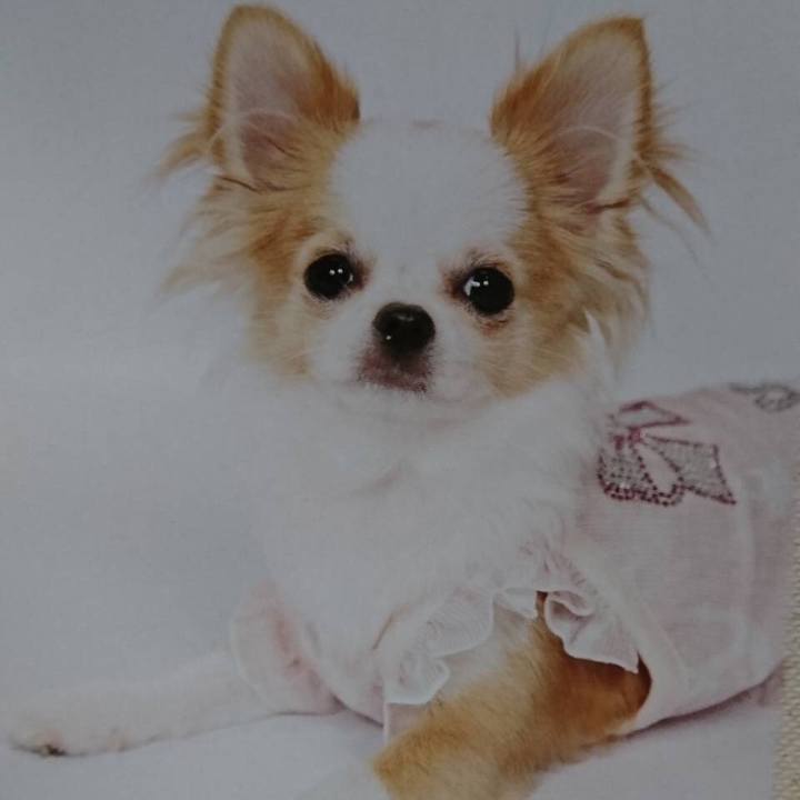 Adec3b7c d261 419c 8050 4c1ed05dfdcf 1541067520722