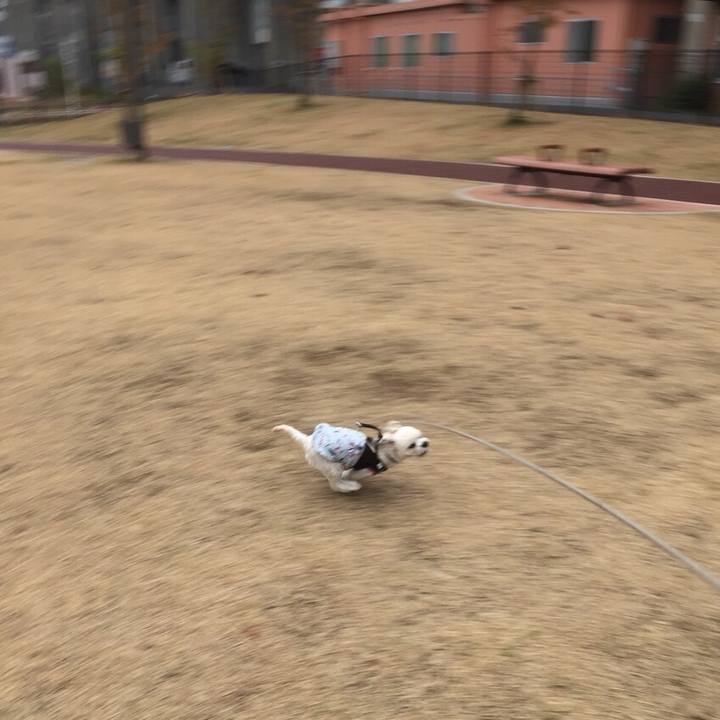 Adec3c87 b137 4f94 9a52 b42838120d6b 1511001001247