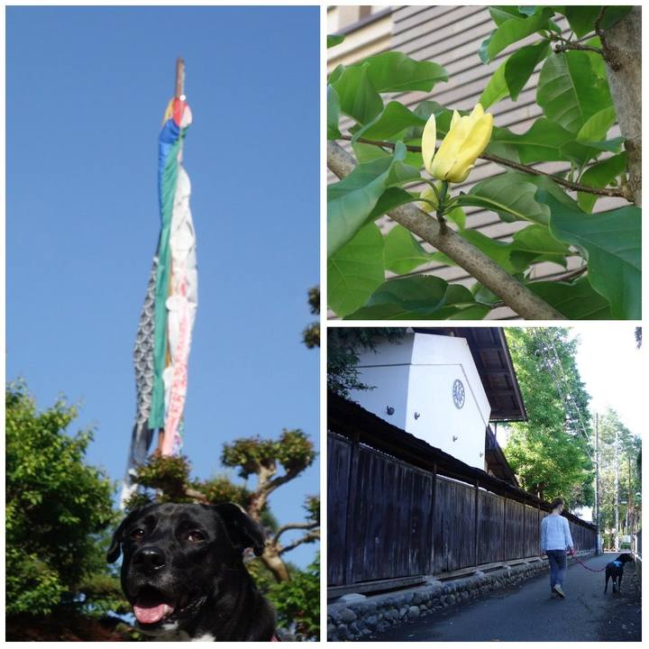 Adec5d8f 9122 4cb9 90be e85ed1b53cbd 1619917887649