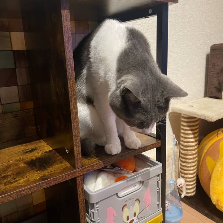 Adecc199 f515 412e 8184 c0c096db29b3 1699950339200