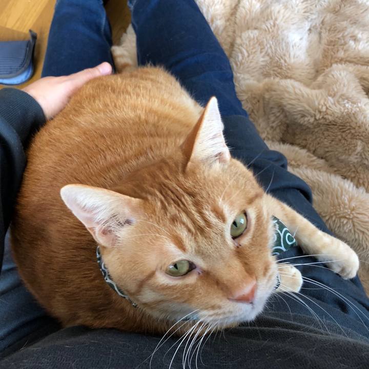 Adeccab4 7ce4 44f7 bd32 932a738e8b54 1579407771342