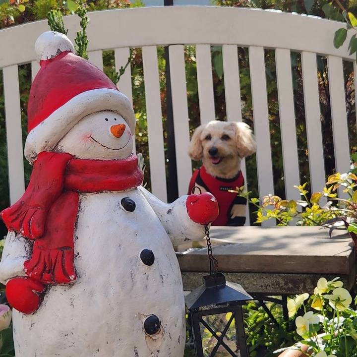 Aded00b2 9739 456b 9e96 f77cec19e8a0 1764650317619