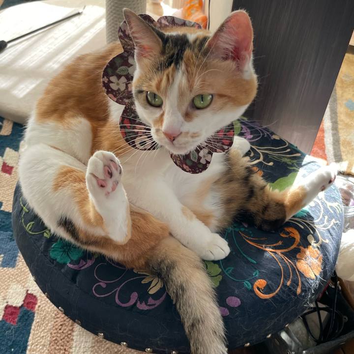 Aded0ca0 c953 4360 999e 033a19f4a0bd 1750491054592