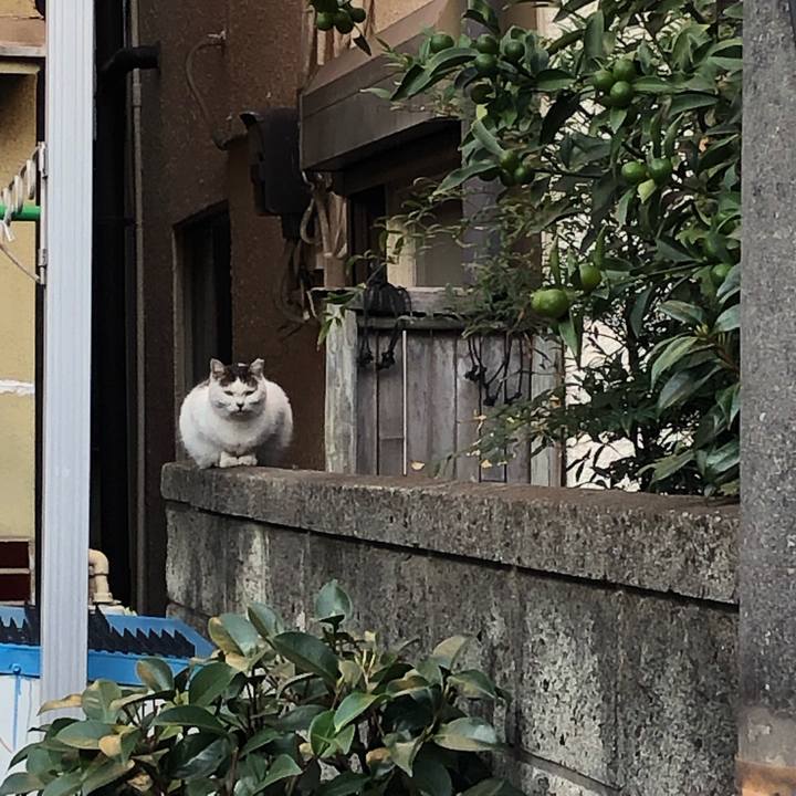 Aded1438 401f 4b41 aa0e d153277fbd81 1542588506557