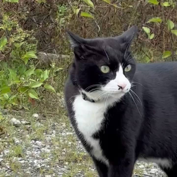 Aded2e07 0b5a 420f 89e9 5726de5efcab 1746862367936