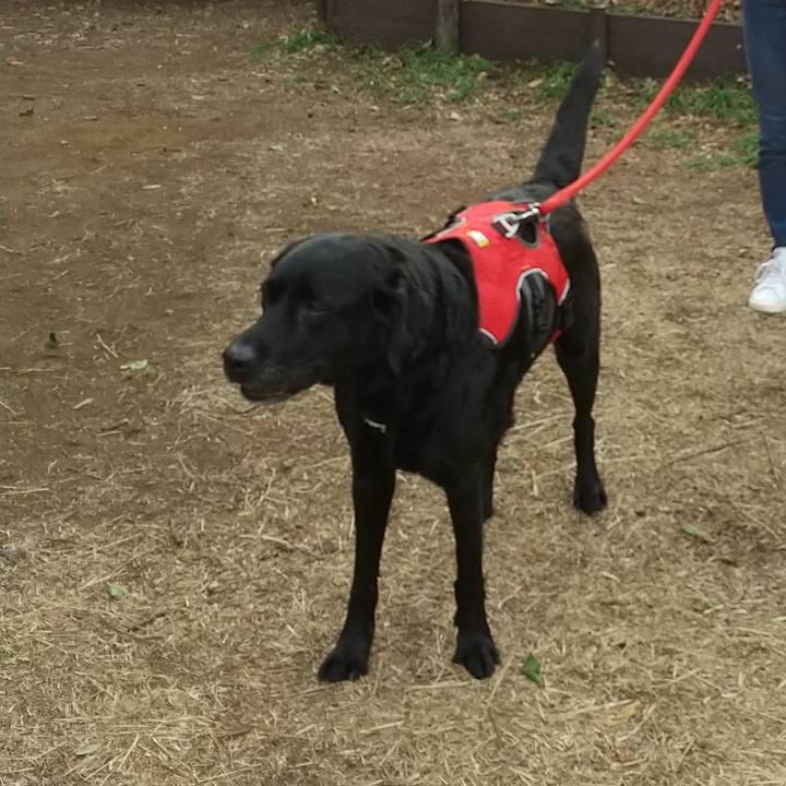 Aded6c98 8bf5 4250 a770 58560eb746a0 1691806175417