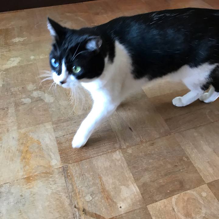 Aded77c7 6dfa 41f1 b083 3b19ed80c607 1557409998176