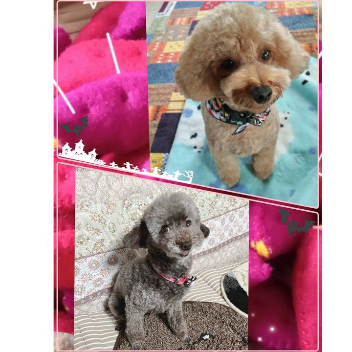 Aded7e0b 06bd 4296 98c9 b16790c2e281 1729842118766