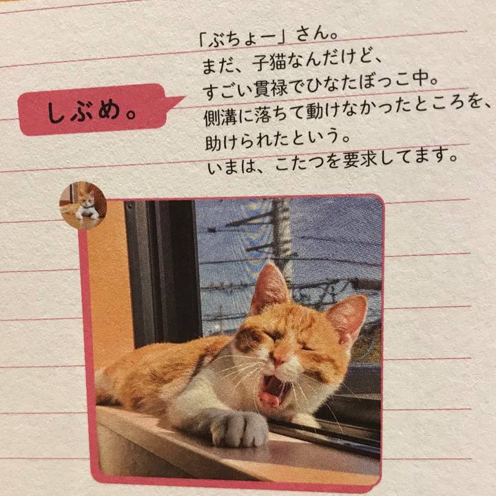 Adedab15 b9af 471f 8fbd 3761851c511c 1556188441945