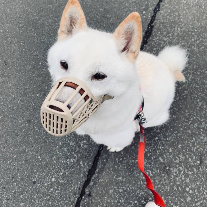 Adedb4c3 9071 4de9 b7e7 a13f24031231 1564006233657