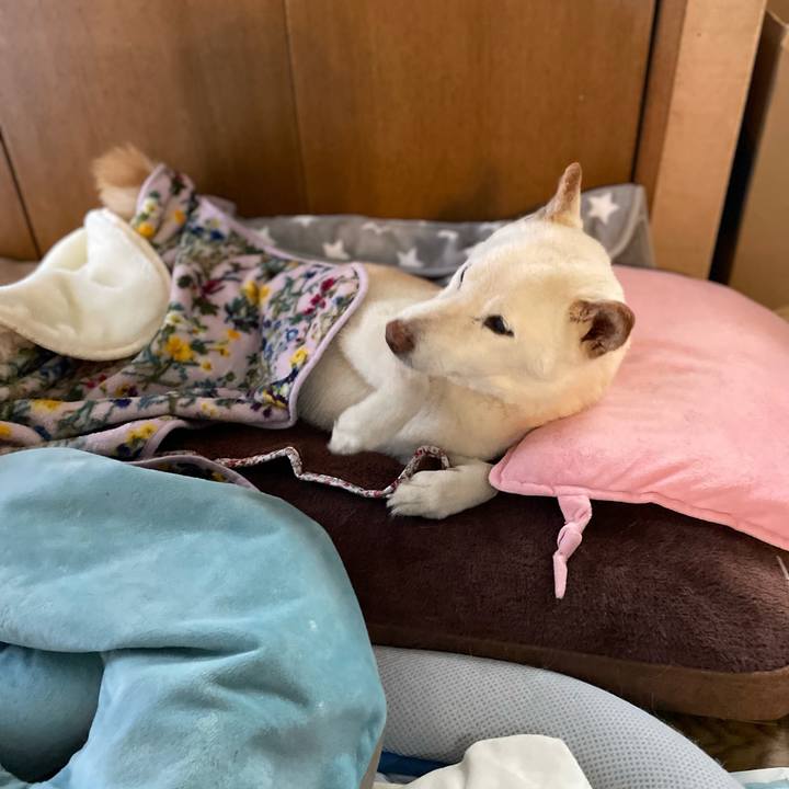 Adedbc0c ac6d 4e41 b869 0304d4528c98 1646109497172