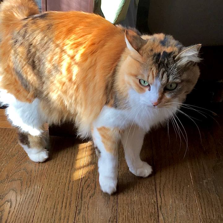 Adedd7f7 23e2 4f41 85fd 35b88575c896 1607485775854