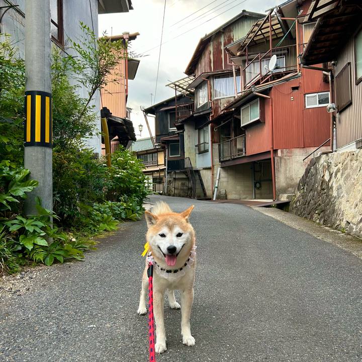 Adede7e8 2061 47c4 a3b2 3dcabb0a2a4b 1718279675350