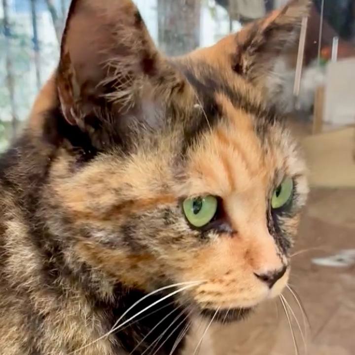 Adedf365 3916 41a3 b008 5fe217bd6d56 1756434081378