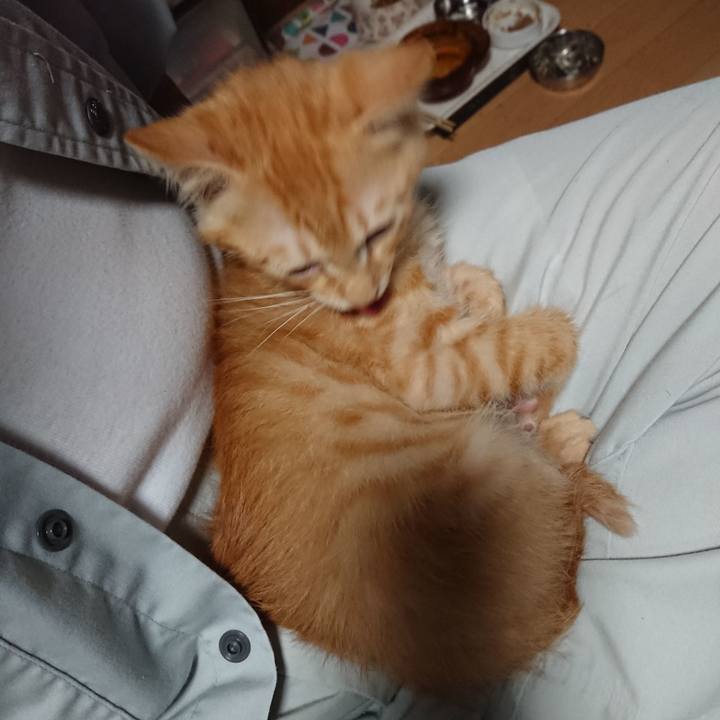 Adee0aeb ddb6 4882 a165 22aebcc5e1a7 1630832590781