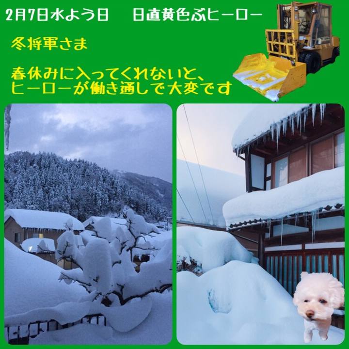 Adee3fd5 0cdb 427e 90e2 39d17f4c8a7d 1517990132481