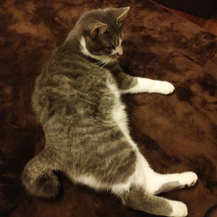 Adee70dc aee3 46d3 b4c1 23681ec2bdb5 1579269708681