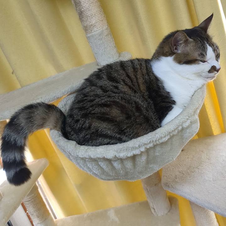 Adee84de 66c9 44b8 b041 d1c050f85bfb 1699325332350