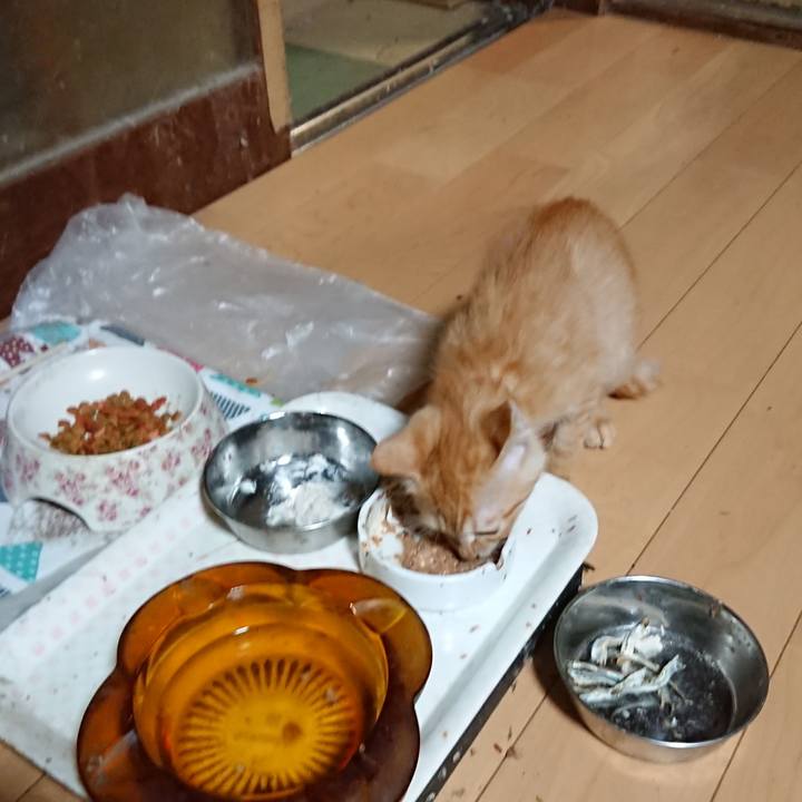 Adeea159 329f 4a6d b801 ea7a2481ffa3 1631098960952